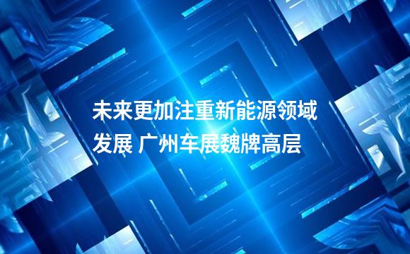未来更加注重新能源领域发展 广州车展魏牌高层